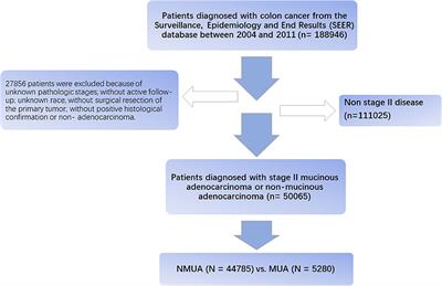 Mucinous Histology Might Be an Indicator for Enhanced Survival Benefit of Chemotherapy in Stage II Colon Cancer